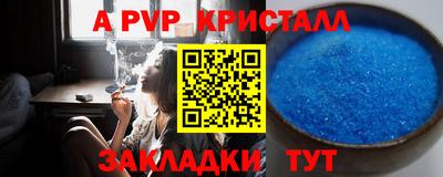 тгк Бийск