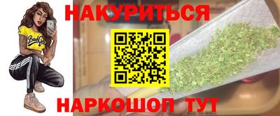 тгк Бийск