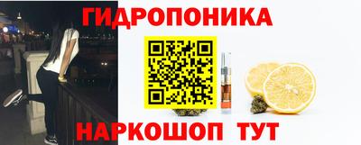 Альфа ПВП Беслан