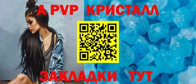 тгк Бийск