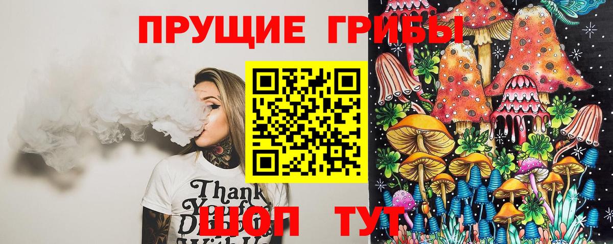 Псилоцибиновые грибы GOLDEN TEACHER  Псилоцибиновые грибы прущие грибы  Вход с VPN  Заводоуковск 